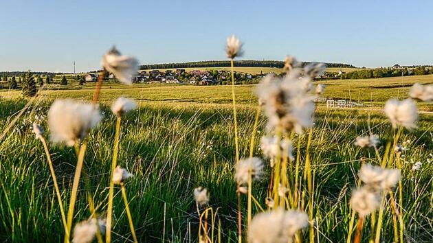 Apartman Krusne Hory - Erzgebirge Horní Blatná Exteriör bild